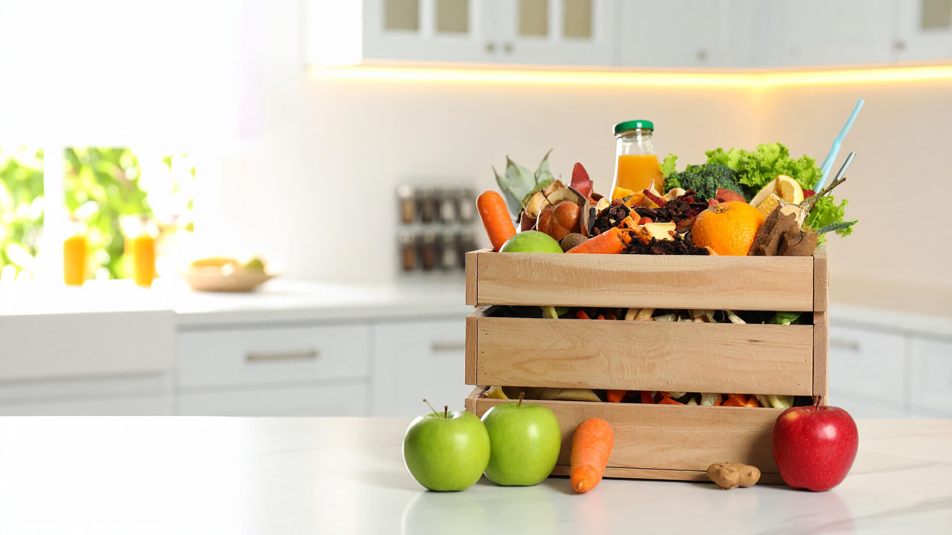 From Waste to Energy: How Do Municipal Solid Wastes Turn into Electricity?