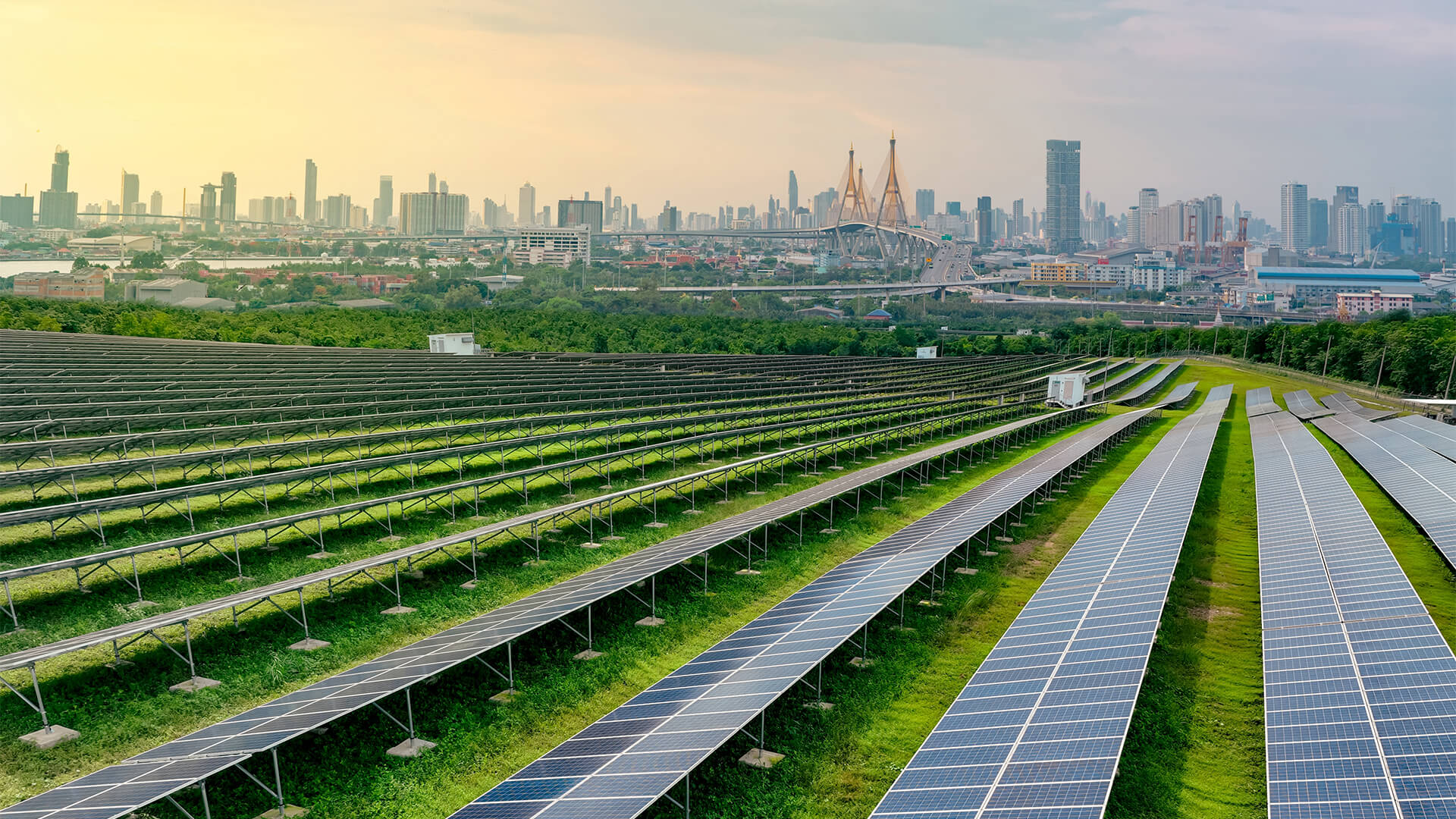 Les Villes du Futur : L’infrastructure Verte Peut-elle Favoriser une Vie en Harmonie avec la Nature ?