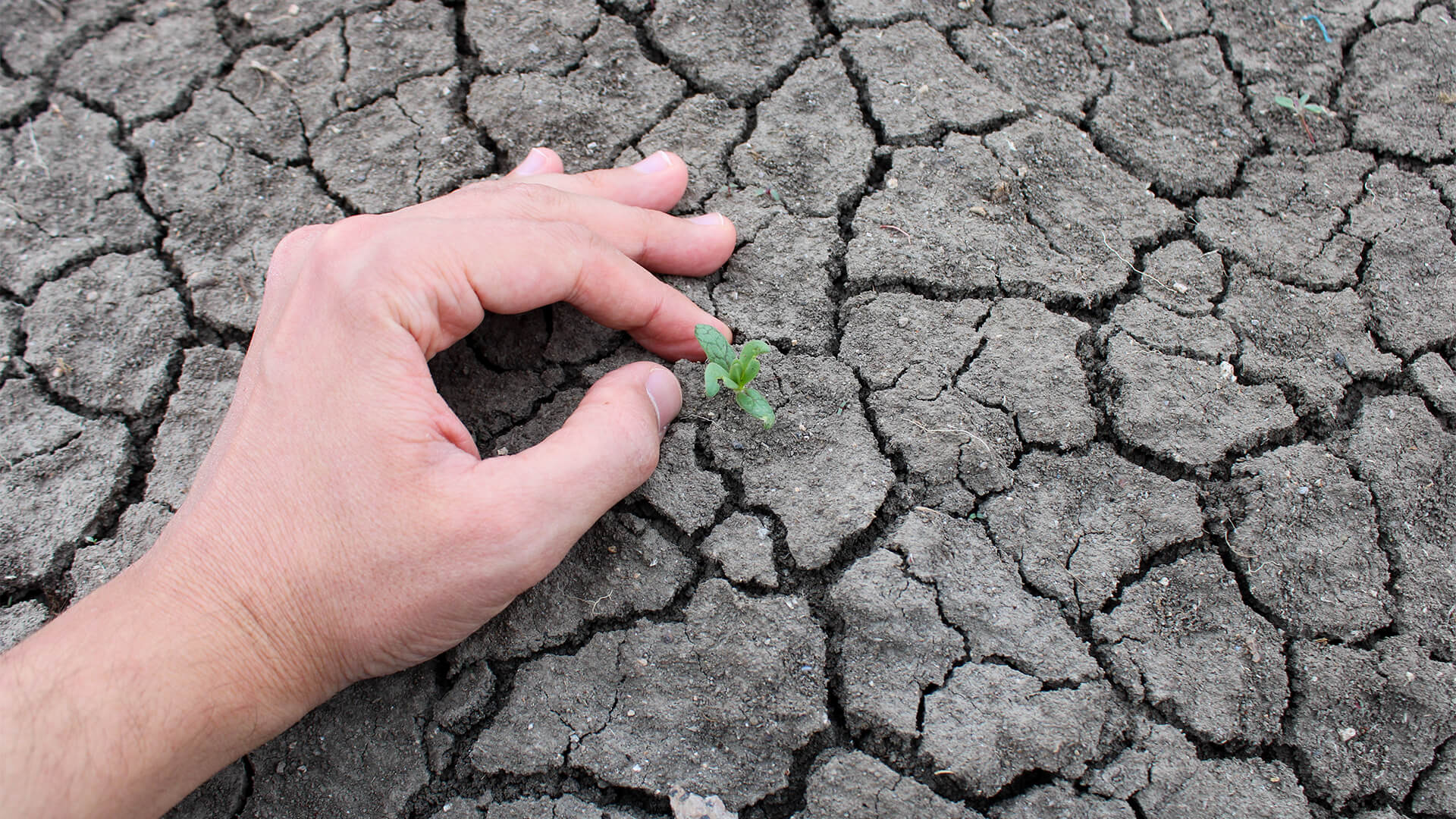 L’Anxiété Climatique est-elle Réelle ? Comment Gérer l’Inquiétude Planétaire