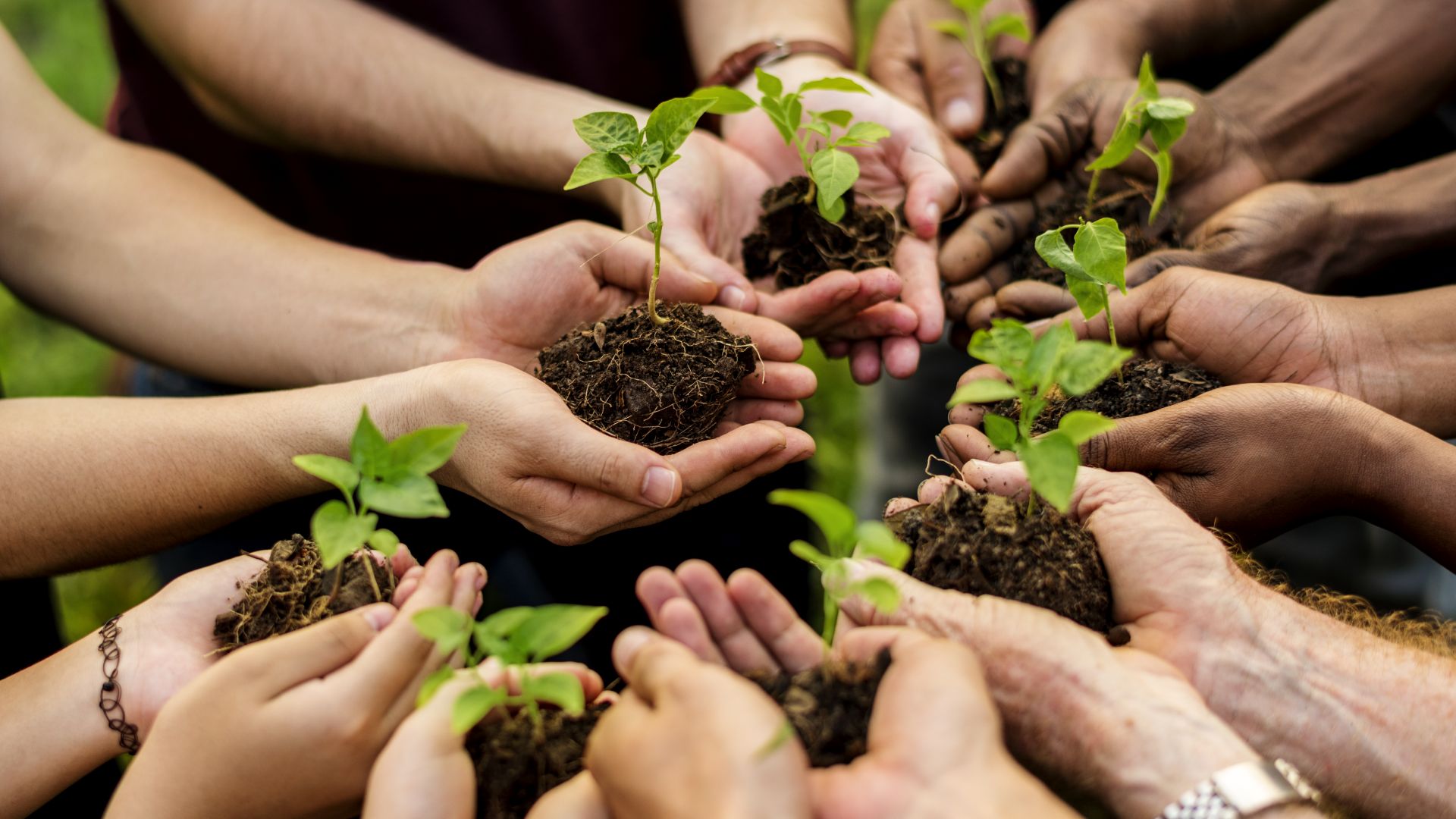 Créant un bureau de développement durable, Biotrend a rejoint le Programme accélérateur de financement climatique